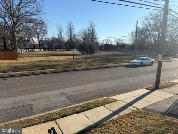 a view of a yard