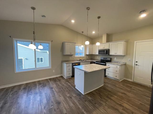 890 Tall Grass Court Wanamingo, MN 55983 - Photo 3 of 13