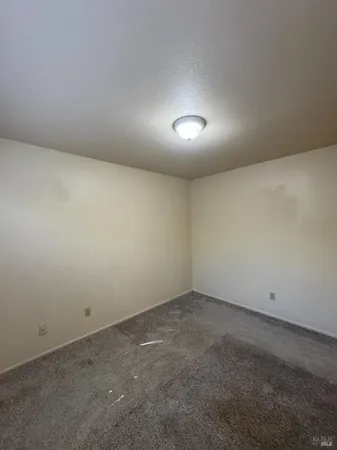 a view of a back yard