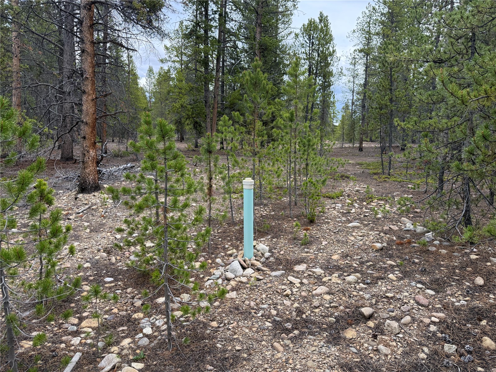 201 Snowshoe Rabbit Drive Leadville, CO 80461 - Photo 11 of 17