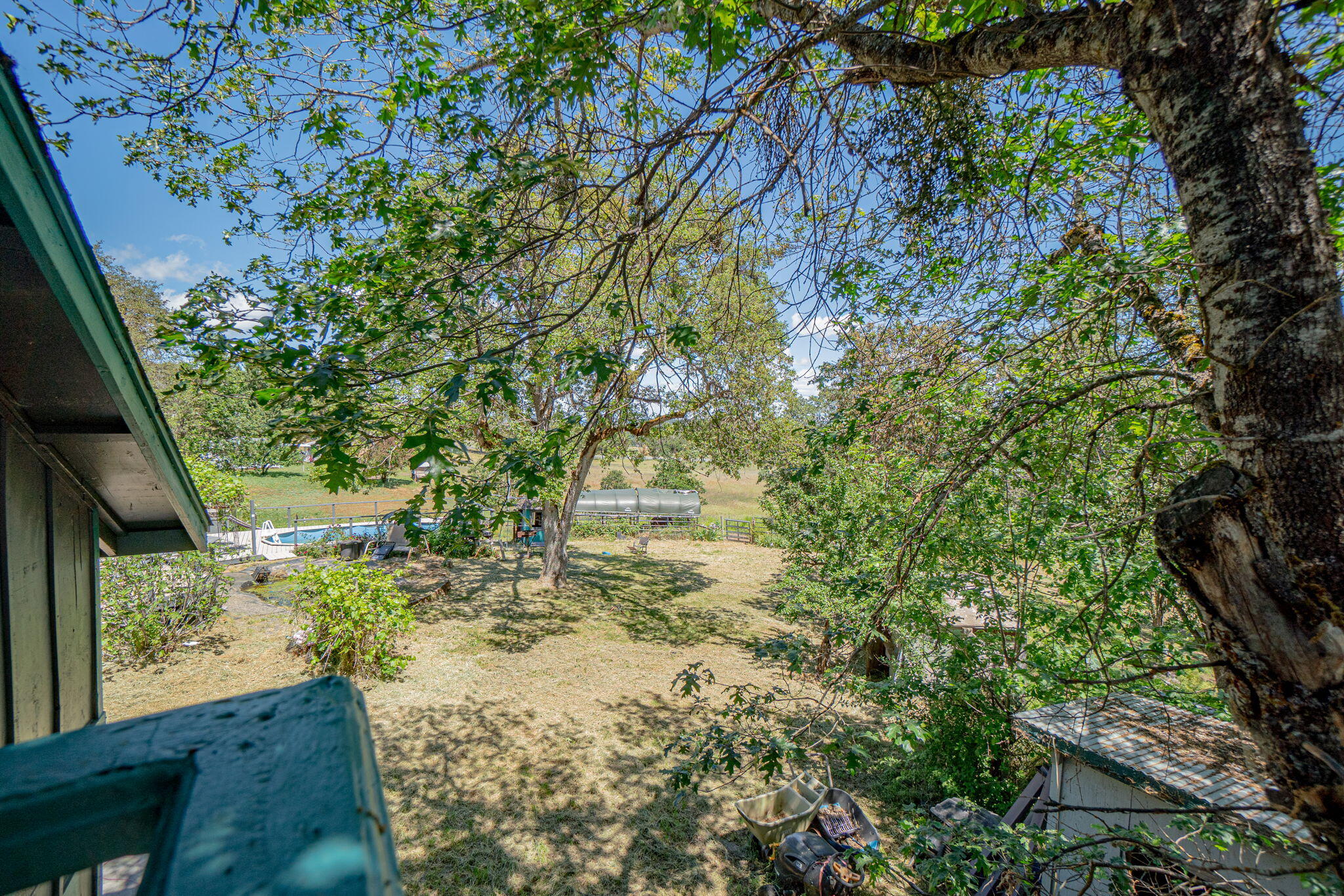 4970 Old Stage Road Central Point, OR 97502 - Photo 38 of 43 a view of a yard with plants and large trees