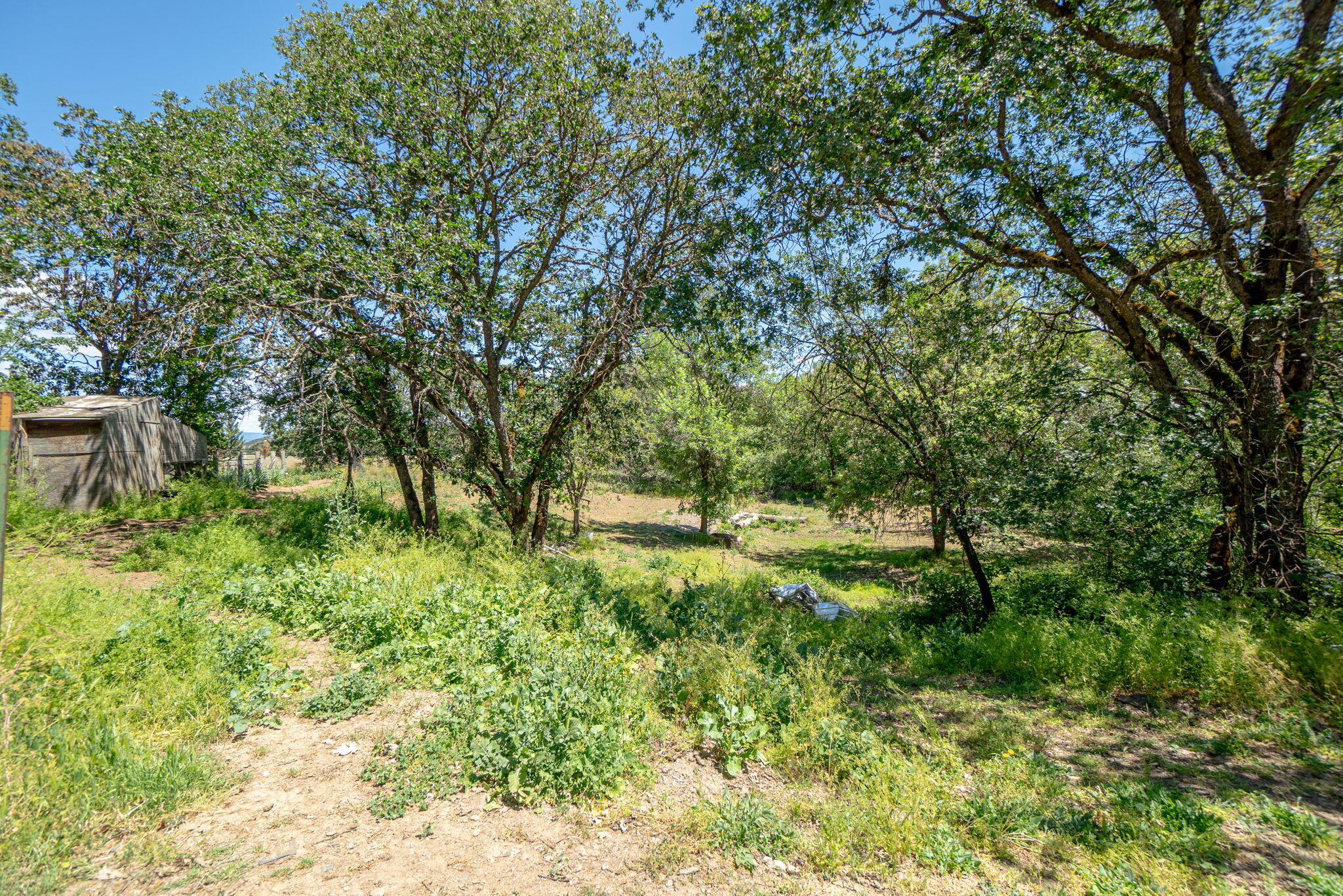4970 Old Stage Road Central Point, OR 97502 - Photo 41 of 43 a view of a garden