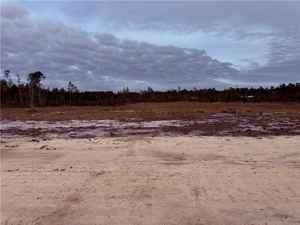 Lot 9 Wiregrass Lane, Unit 9 Waycross, GA 31503 - Photo 3 of 6 Photo 3