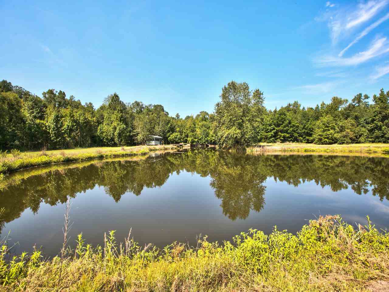 2040 Farms Road Tallahassee, FL 32317 - Photo 8 of 32 Gallery Image 8
