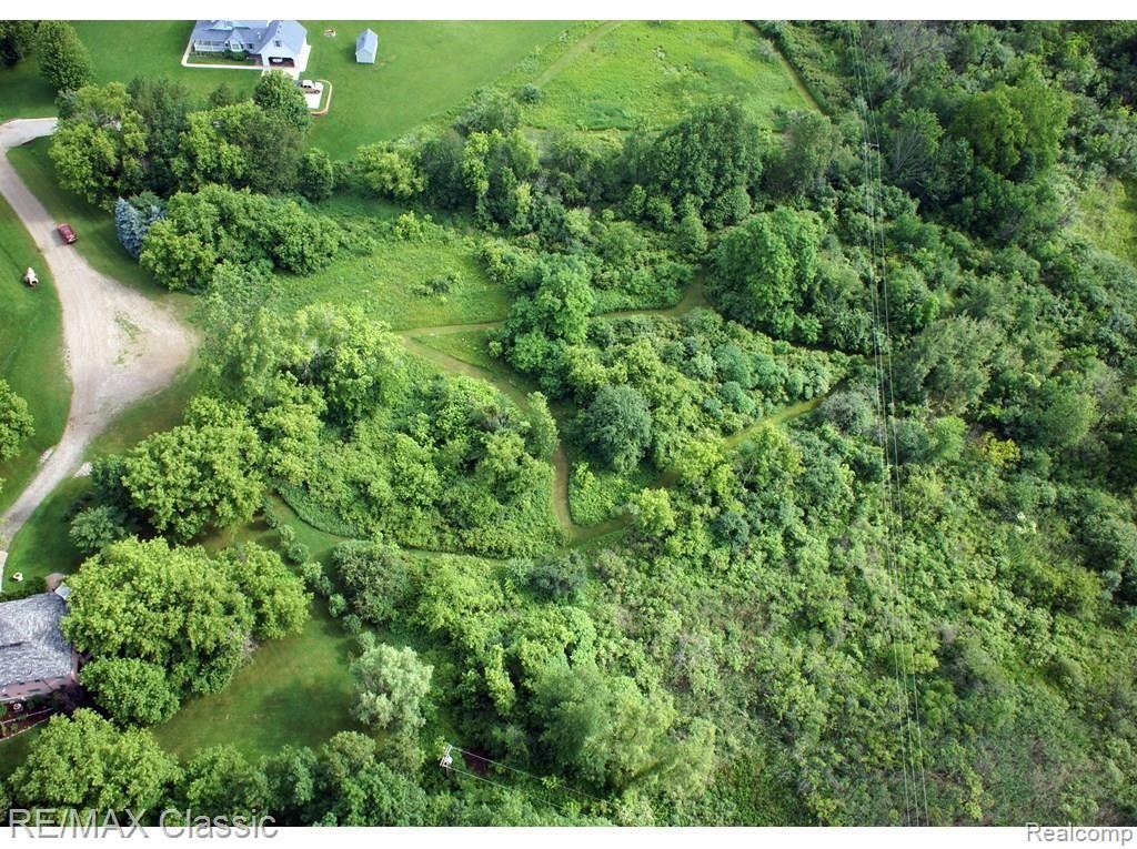 0 Thomas Lee Road South Lyon, MI 48178 - Photo 2 of 8