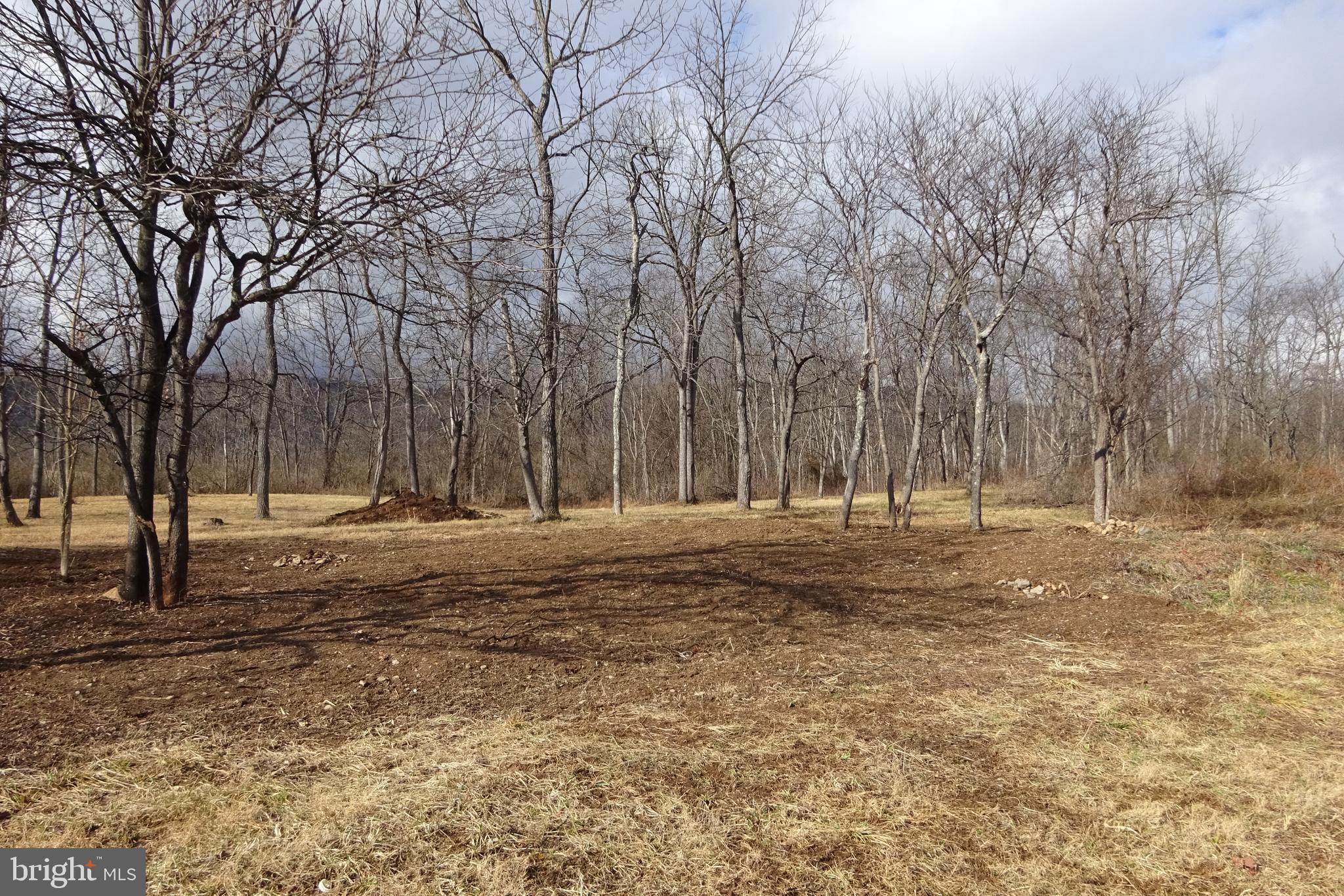 7163 Path Valley Road Fort Loudon, PA 17224 - Photo 3 of 15