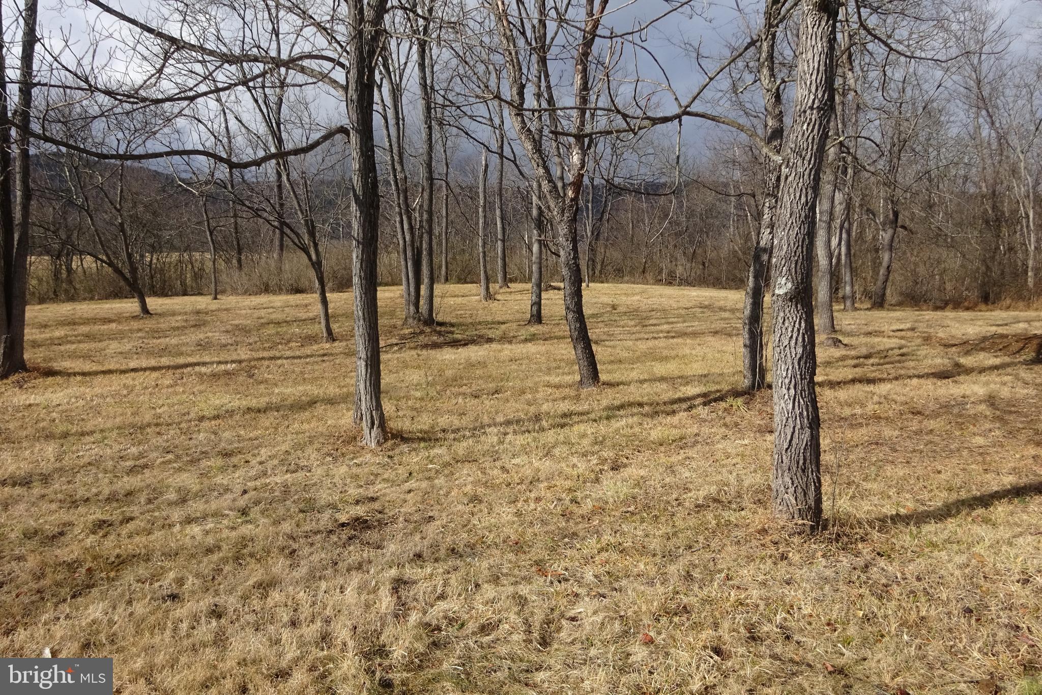 7163 Path Valley Road Fort Loudon, PA 17224 - Photo 6 of 15