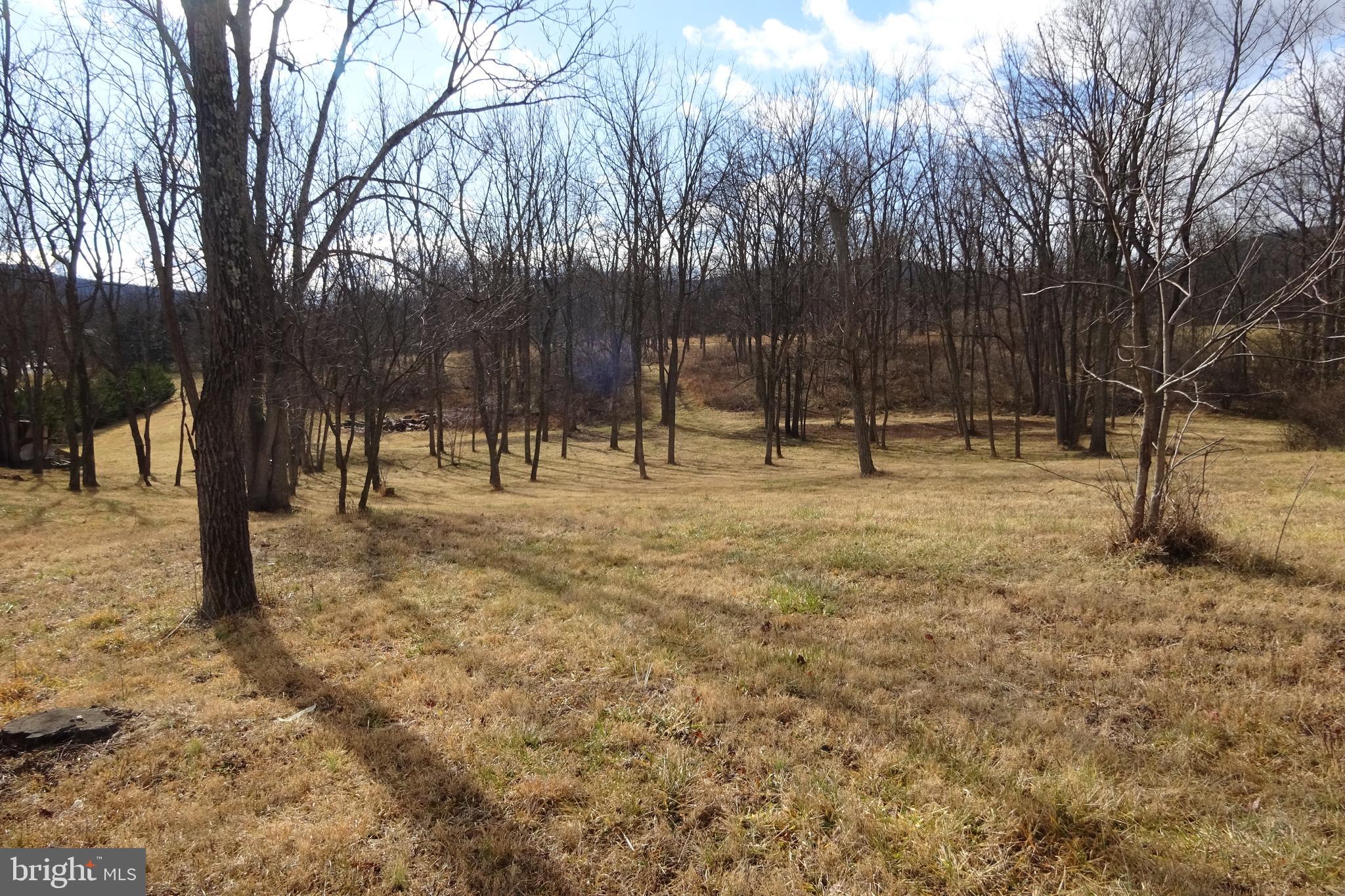 7163 Path Valley Road Fort Loudon, PA 17224 - Photo 7 of 15