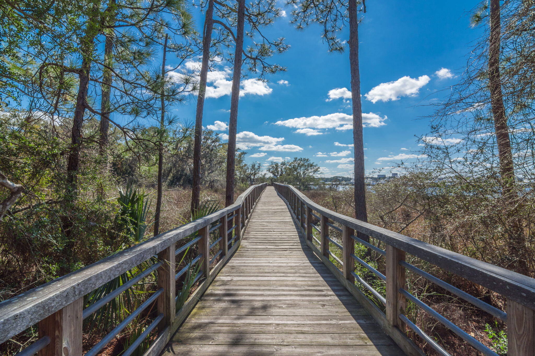 2943 Pine Valley Road Miramar Beach, FL 32550 - Photo 86 of 97 Trail
