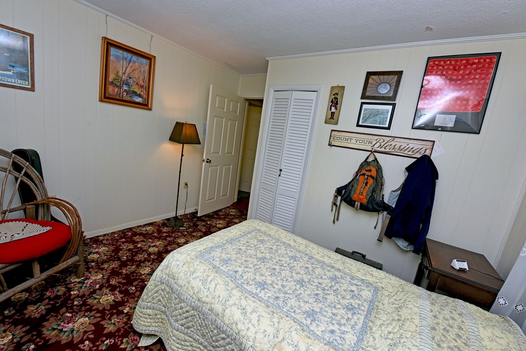 66 Pine Ridge Court Ellijay, GA 30536 - Photo 31 of 57