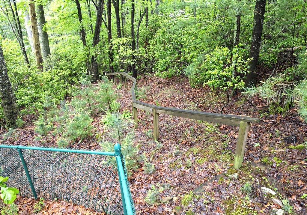 66 Pine Ridge Court Ellijay, GA 30536 - Photo 39 of 57