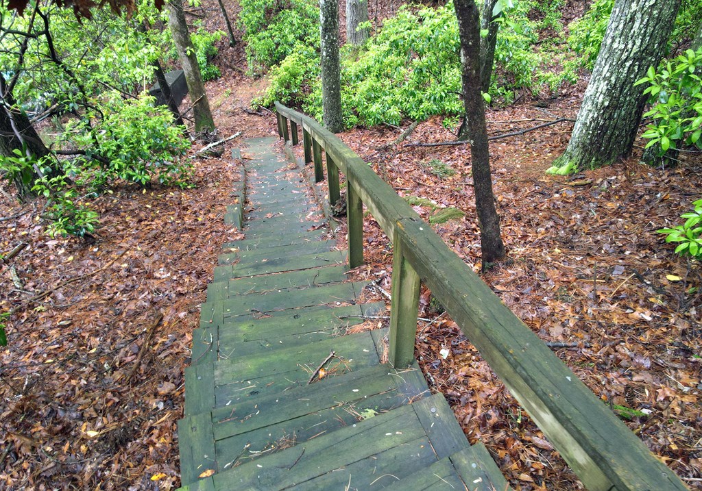 66 Pine Ridge Court Ellijay, GA 30536 - Photo 40 of 57