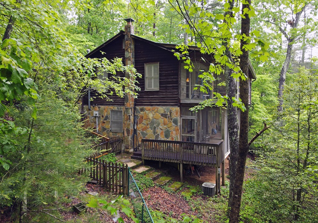 66 Pine Ridge Court Ellijay, GA 30536 - Photo 4 of 57