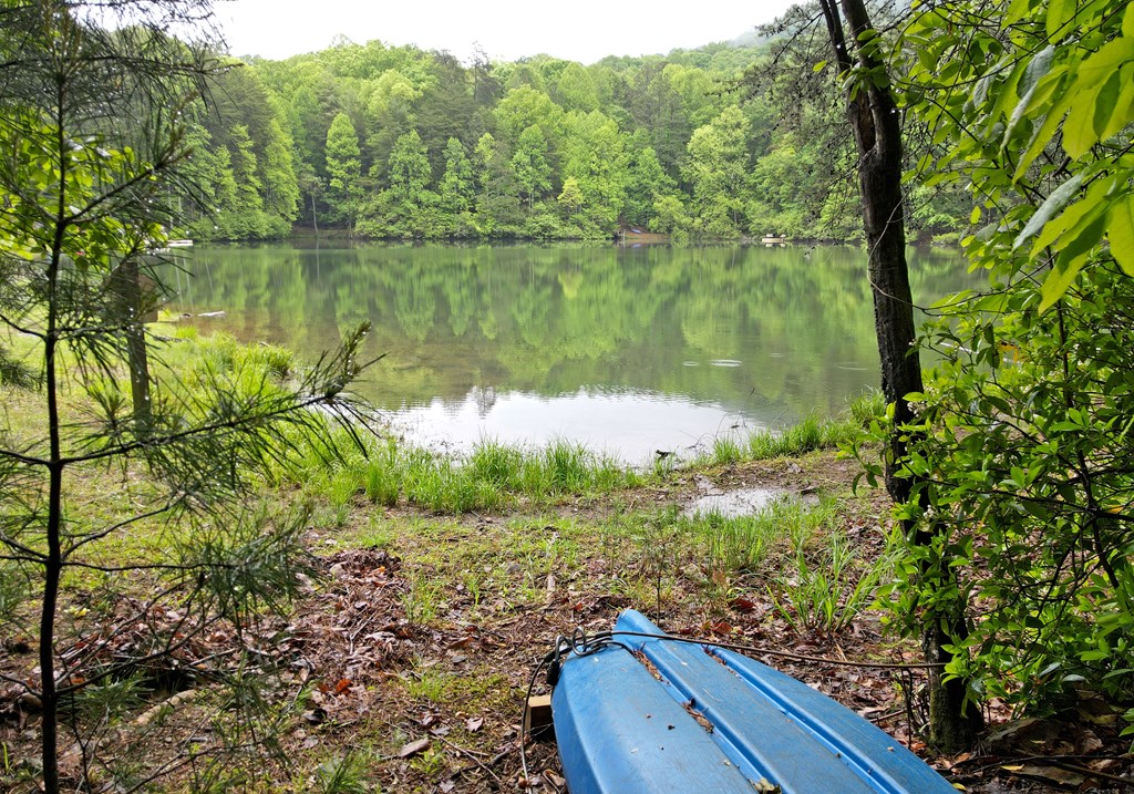 66 Pine Ridge Court Ellijay, GA 30536 - Photo 41 of 57 Community