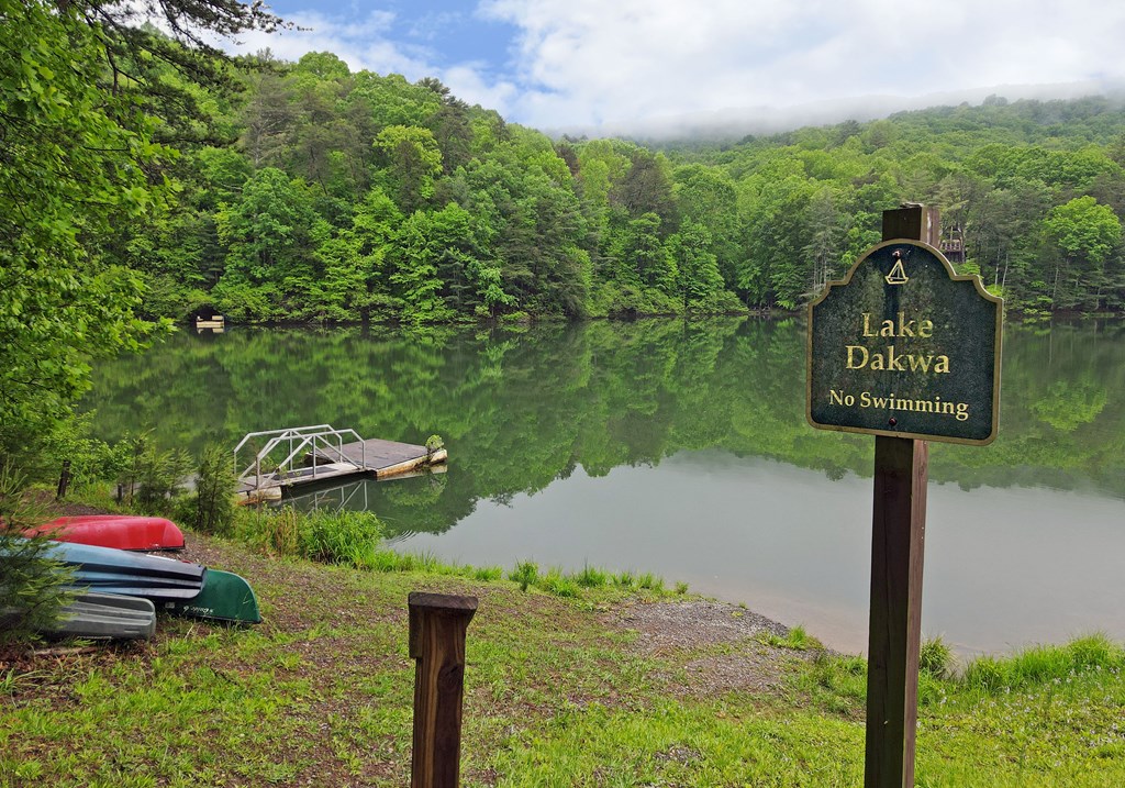 66 Pine Ridge Court Ellijay, GA 30536 - Photo 42 of 57 Community