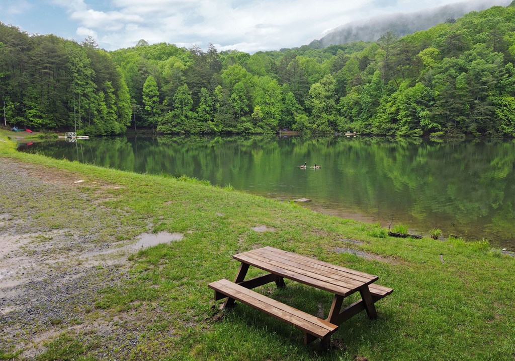 66 Pine Ridge Court Ellijay, GA 30536 - Photo 44 of 57 Community