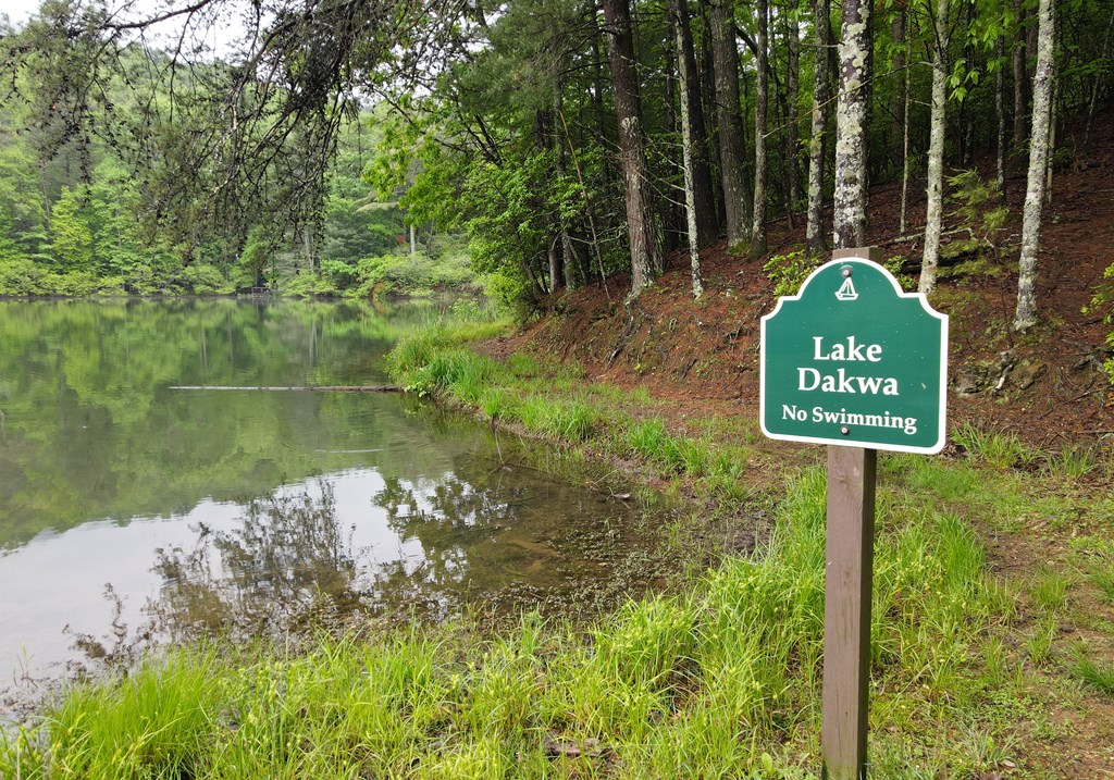 66 Pine Ridge Court Ellijay, GA 30536 - Photo 45 of 57 Community