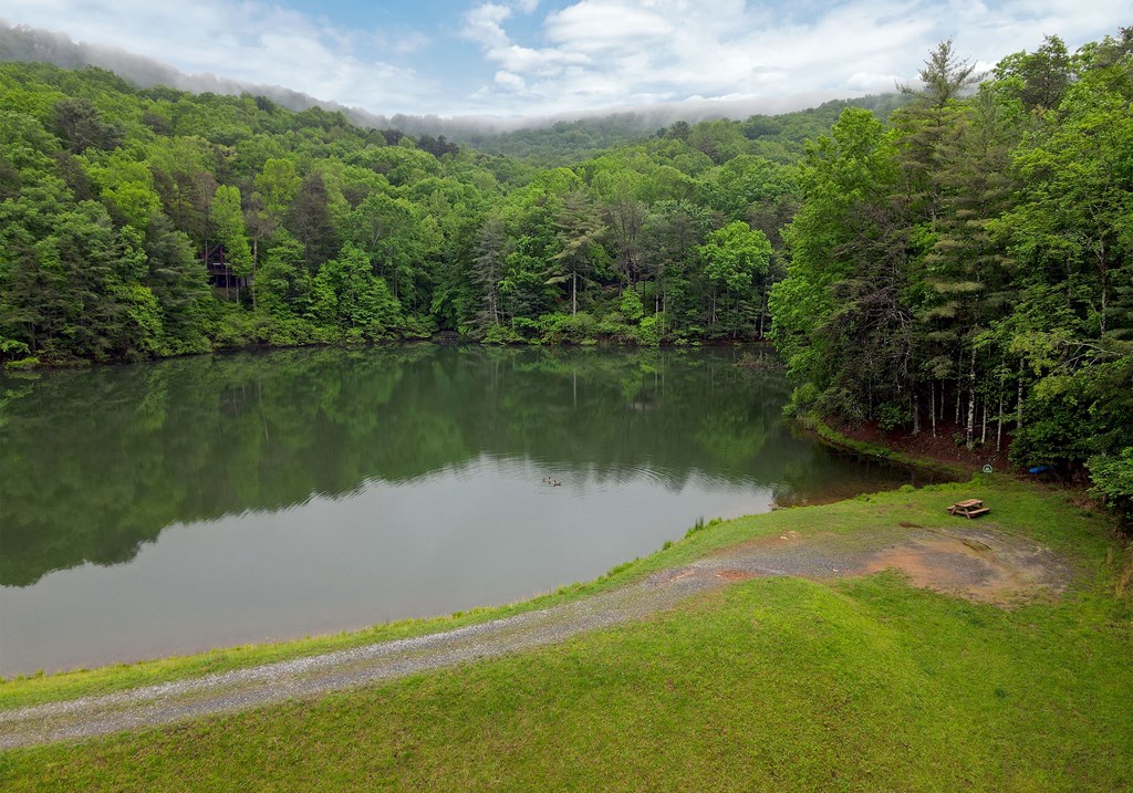 66 Pine Ridge Court Ellijay, GA 30536 - Photo 46 of 57 Community