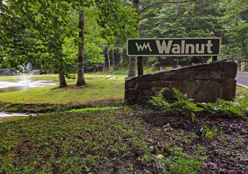 66 Pine Ridge Court Ellijay, GA 30536 - Photo 47 of 57 Community