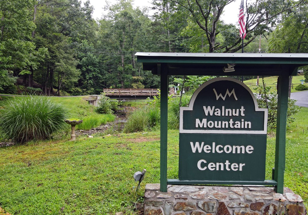 66 Pine Ridge Court Ellijay, GA 30536 - Photo 48 of 57 Community