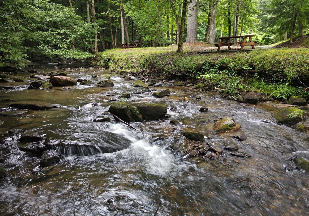 66 Pine Ridge Court Ellijay, GA 30536 - Photo 50 of 57 Community