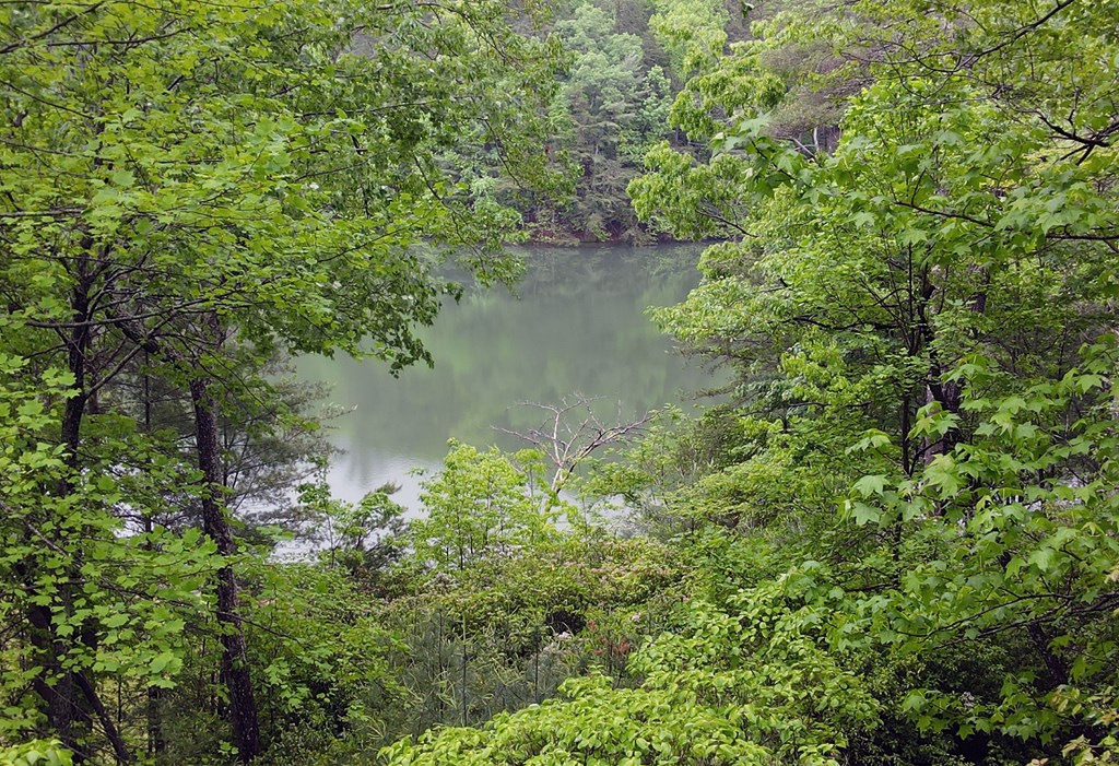 66 Pine Ridge Court Ellijay, GA 30536 - Photo 5 of 57 Community
