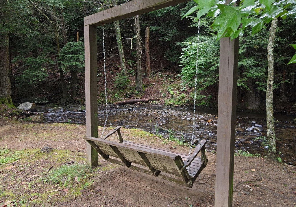 66 Pine Ridge Court Ellijay, GA 30536 - Photo 53 of 57 Community