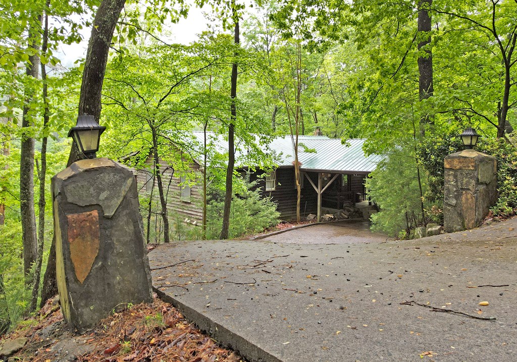 66 Pine Ridge Court Ellijay, GA 30536 - Photo 7 of 57