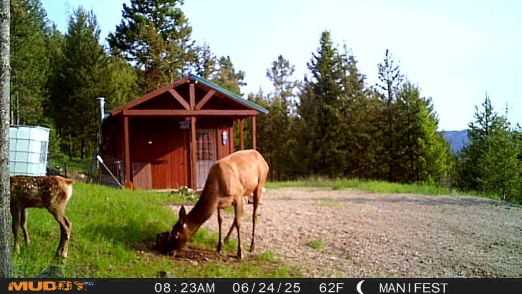 96 Ballpark Road Philipsburg, MT 59858 - Photo 17 of 22 Gallery Image 17