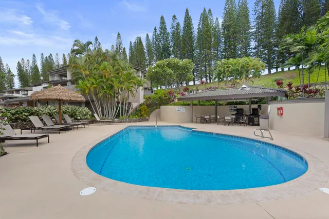a living room with furniture a ceiling fan and a window