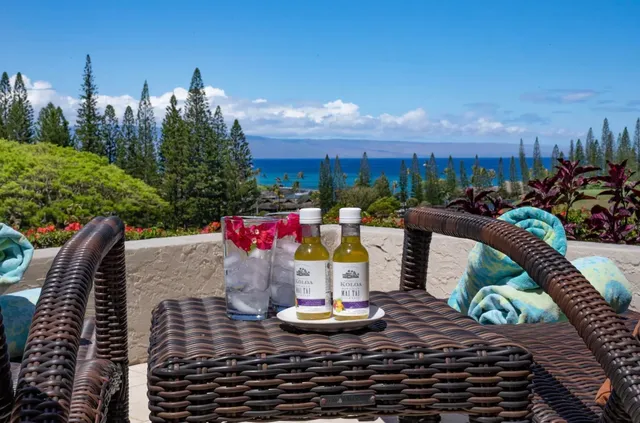 a view of a dining room with furniture and a chandelier