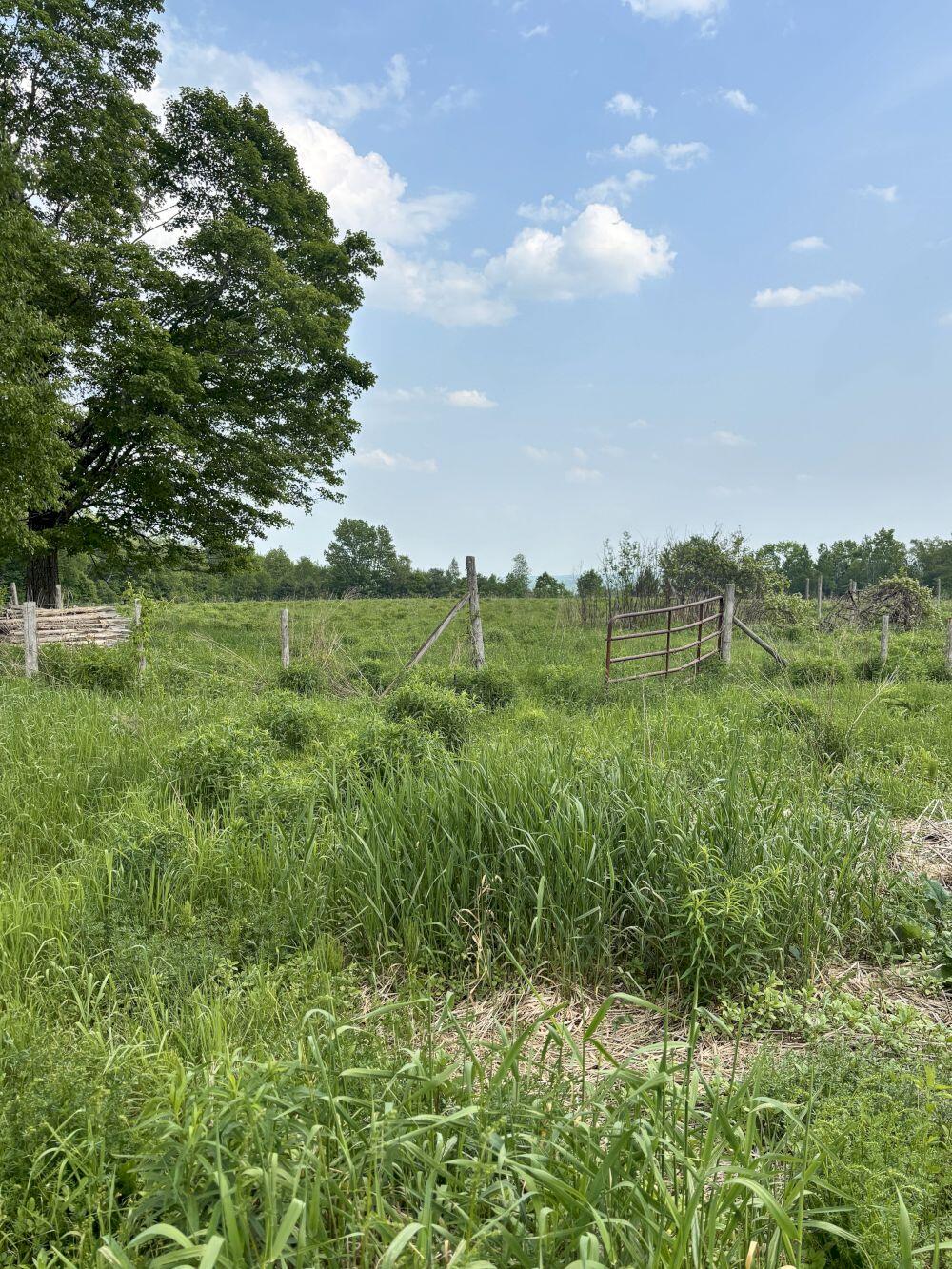 118 Athens Road Hartland, ME 04943 - Photo 16 of 17 1000009103_result