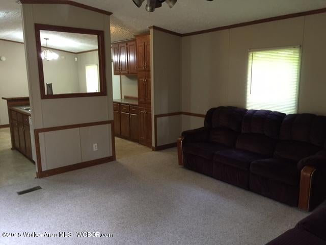 353 Lovell Ferry Road Jasper, AL 35504 - Photo 8 of 9 Gallery Image 8