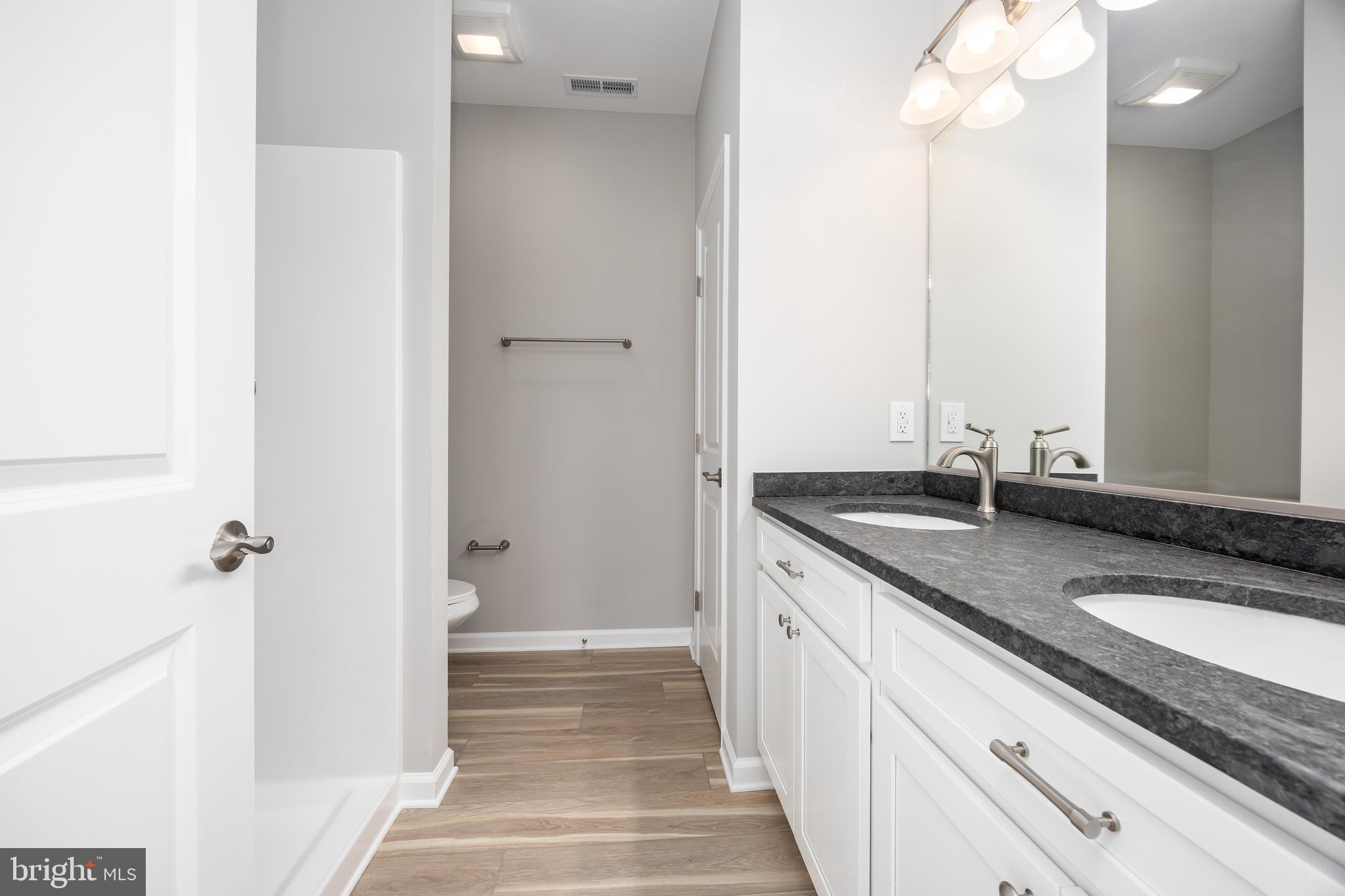 11779 St Stephens Way Princess Anne, MD 21853 - Photo 26 of 51 a bathroom with a granite countertop sink and a mirror