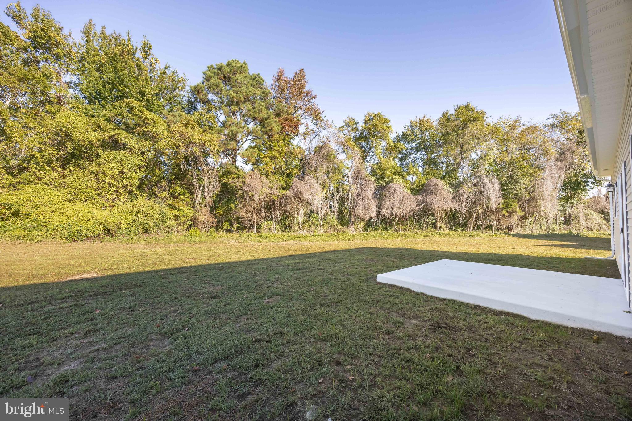 11779 St Stephens Way Princess Anne, MD 21853 - Photo 47 of 51 a view of yard with swimming pool and green space