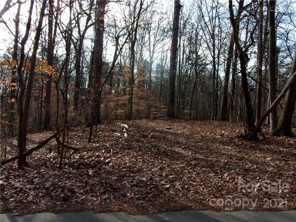 546 Boyce Road Charlotte, NC 28211 - Photo 1 of 3 Gallery Image 1