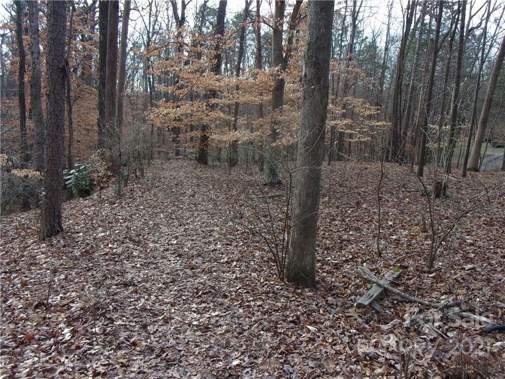 546 Boyce Road Charlotte, NC 28211 - Photo 3 of 3 Gallery Image 3