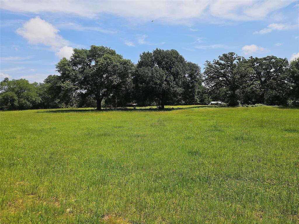 39 S South Groesbeck, TX 76642 - Photo 4 of 17