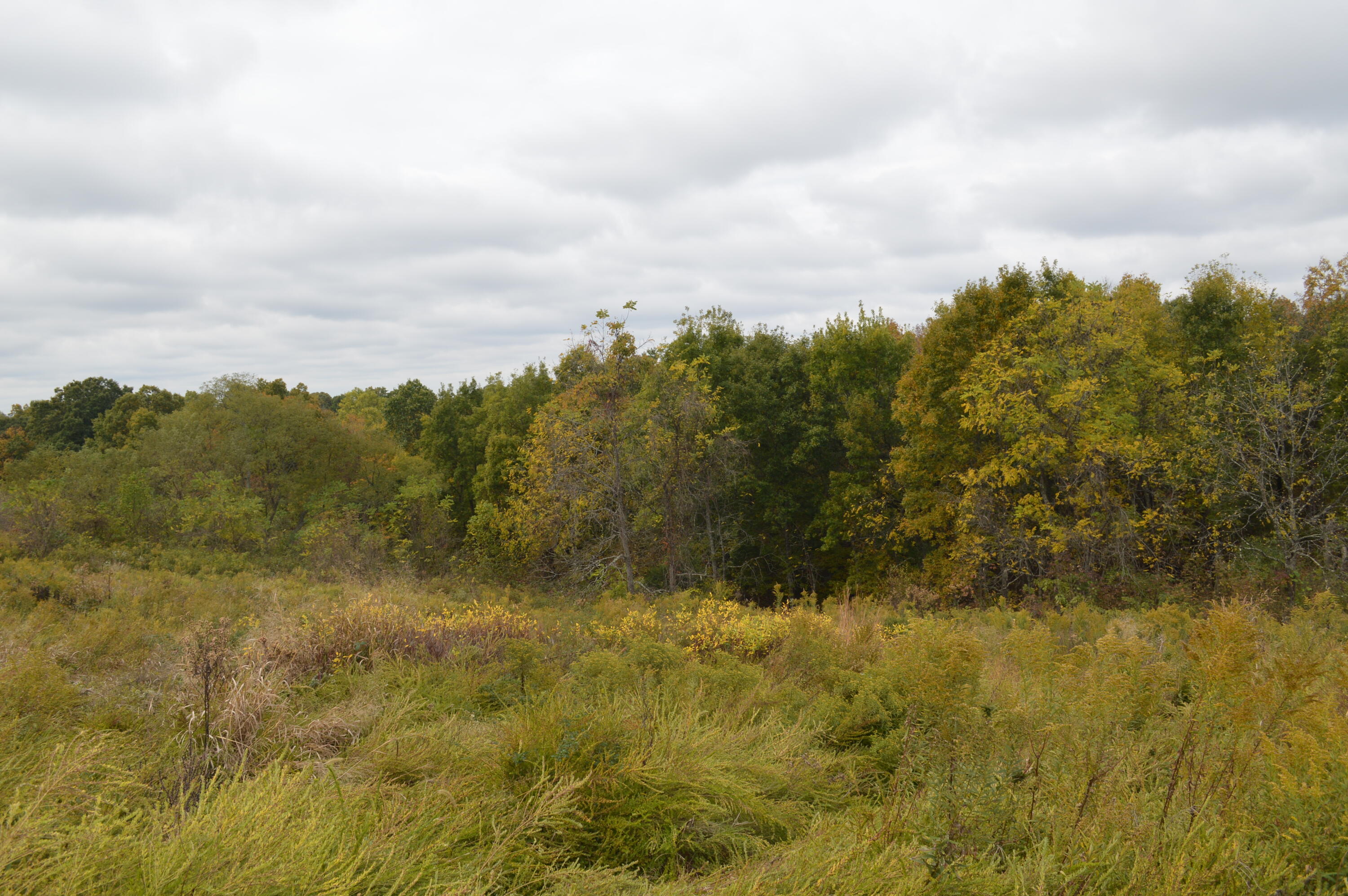 Lot #6 Georgetown Road Owenton, KY 40359 - Photo 15 of 24