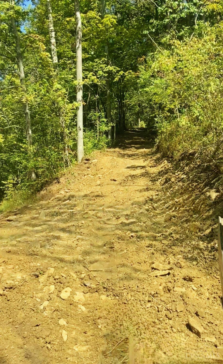 5.08-ac Bear Creek Road Felicity, OH 45120 - Photo 4 of 10