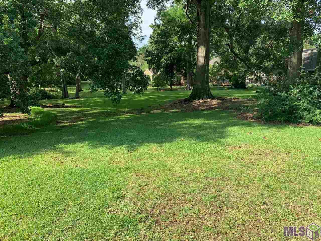 2141 Fiero Street Baton Rouge, LA 70808 - Photo 1 of 3