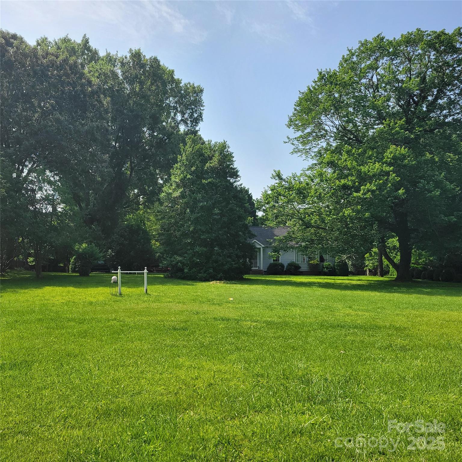 6908 Alexander Road Charlotte, NC 28270 - Photo 2 of 3 a view of a trees in a park