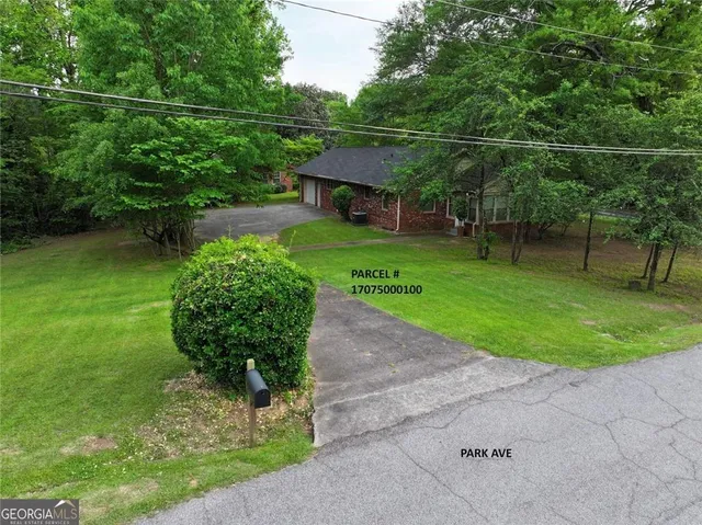 a view of a garden with a trees