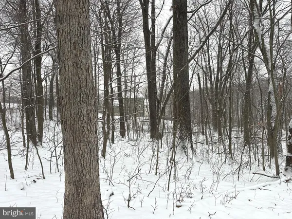 $25,000 | Lot 68 Killbuck Trail, Winchester, VA 22602