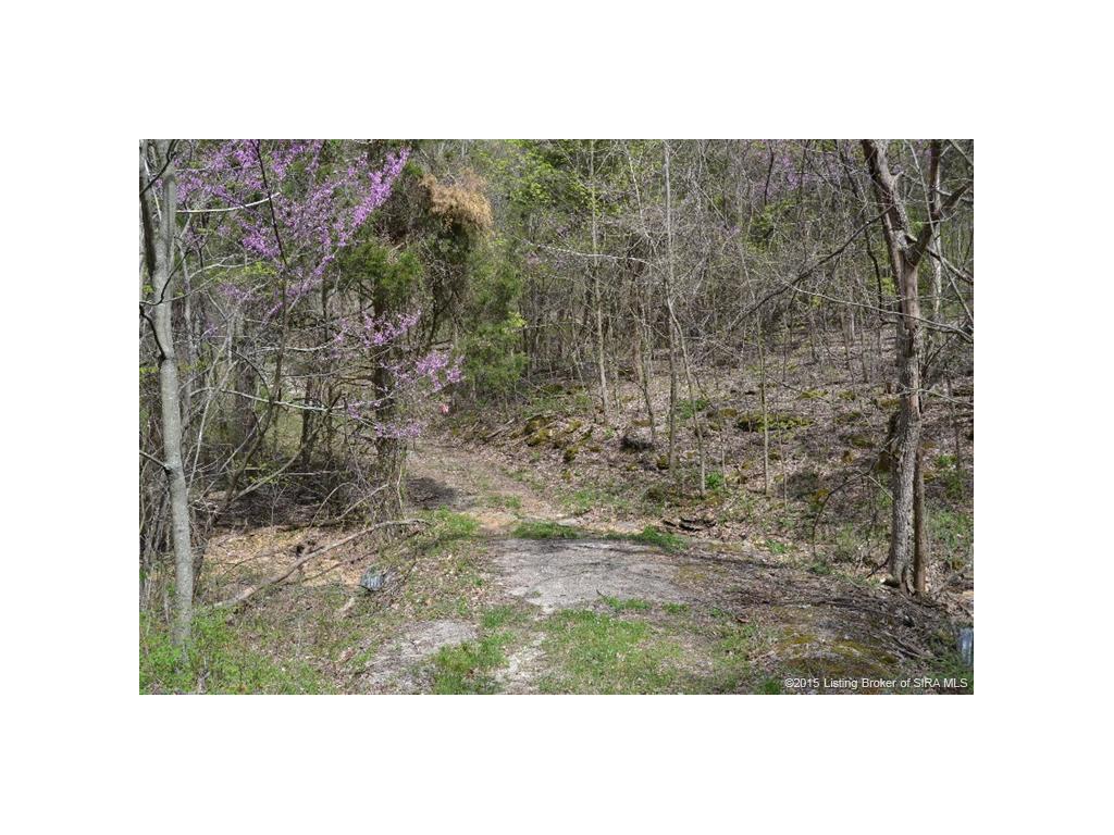 0 North Rinkers Creek Road Salem, IN 47167 - Photo 11 of 14