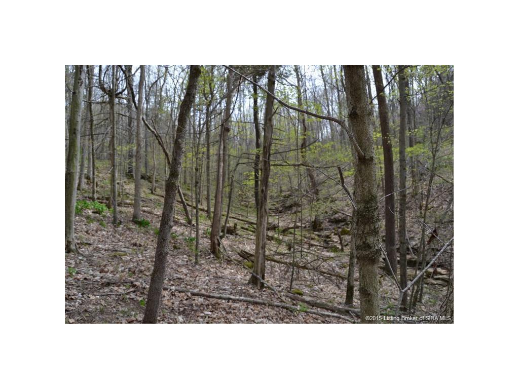 0 North Rinkers Creek Road Salem, IN 47167 - Photo 13 of 14