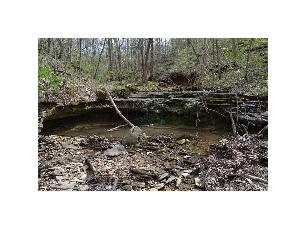 0 North Rinkers Creek Road Salem, IN 47167 - Photo 4 of 14
