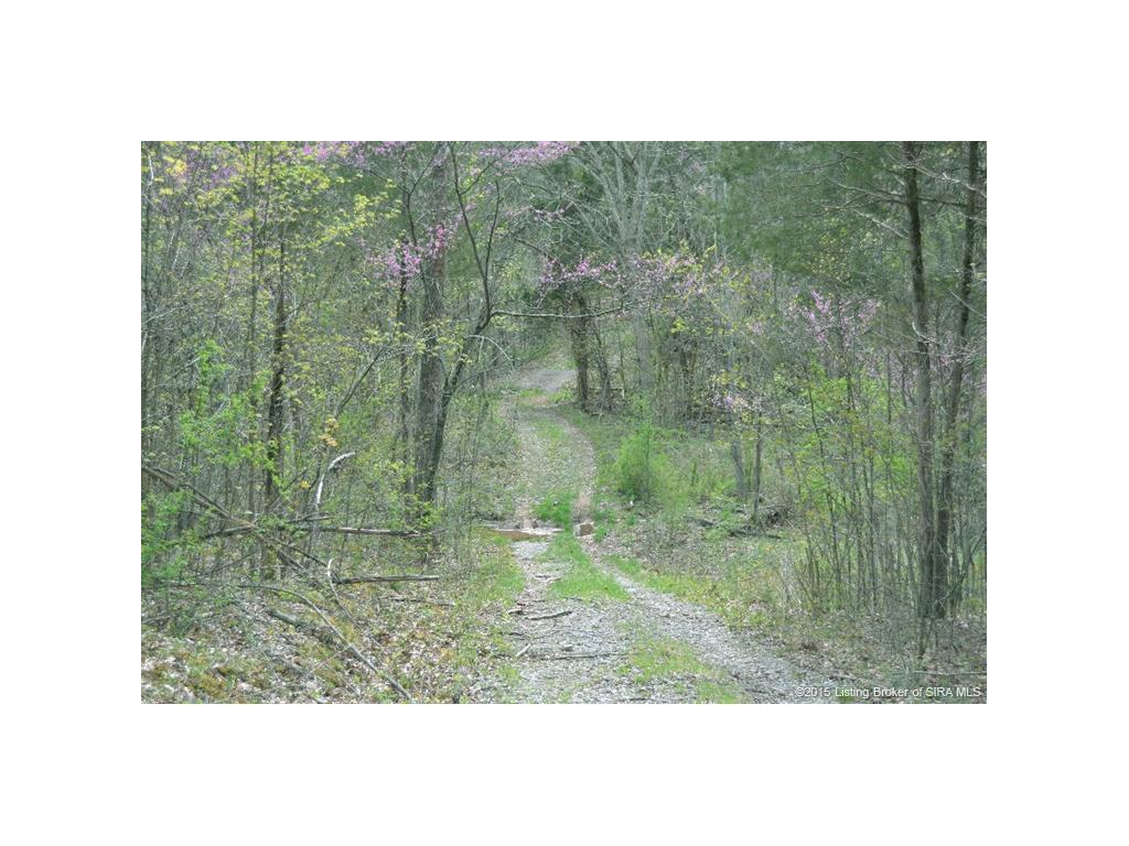 0 North Rinkers Creek Road Salem, IN 47167 - Photo 5 of 14