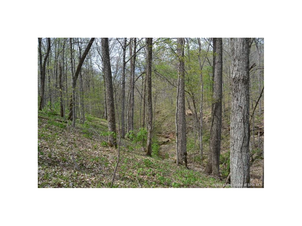 0 North Rinkers Creek Road Salem, IN 47167 - Photo 6 of 14
