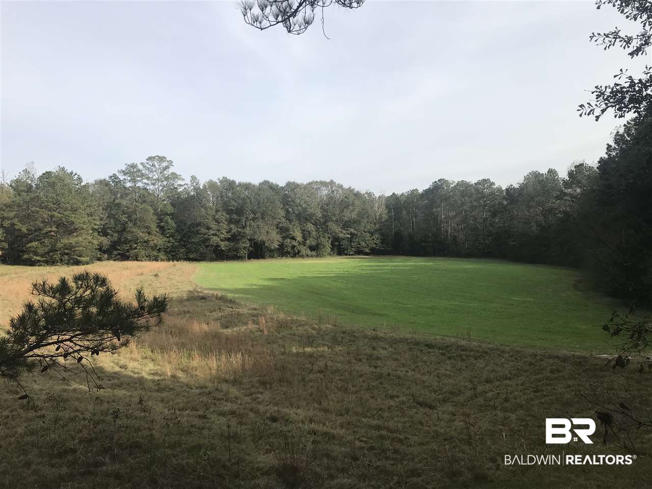 1478 Ridge Road Greenville, AL 36037 - Photo 1 of 50